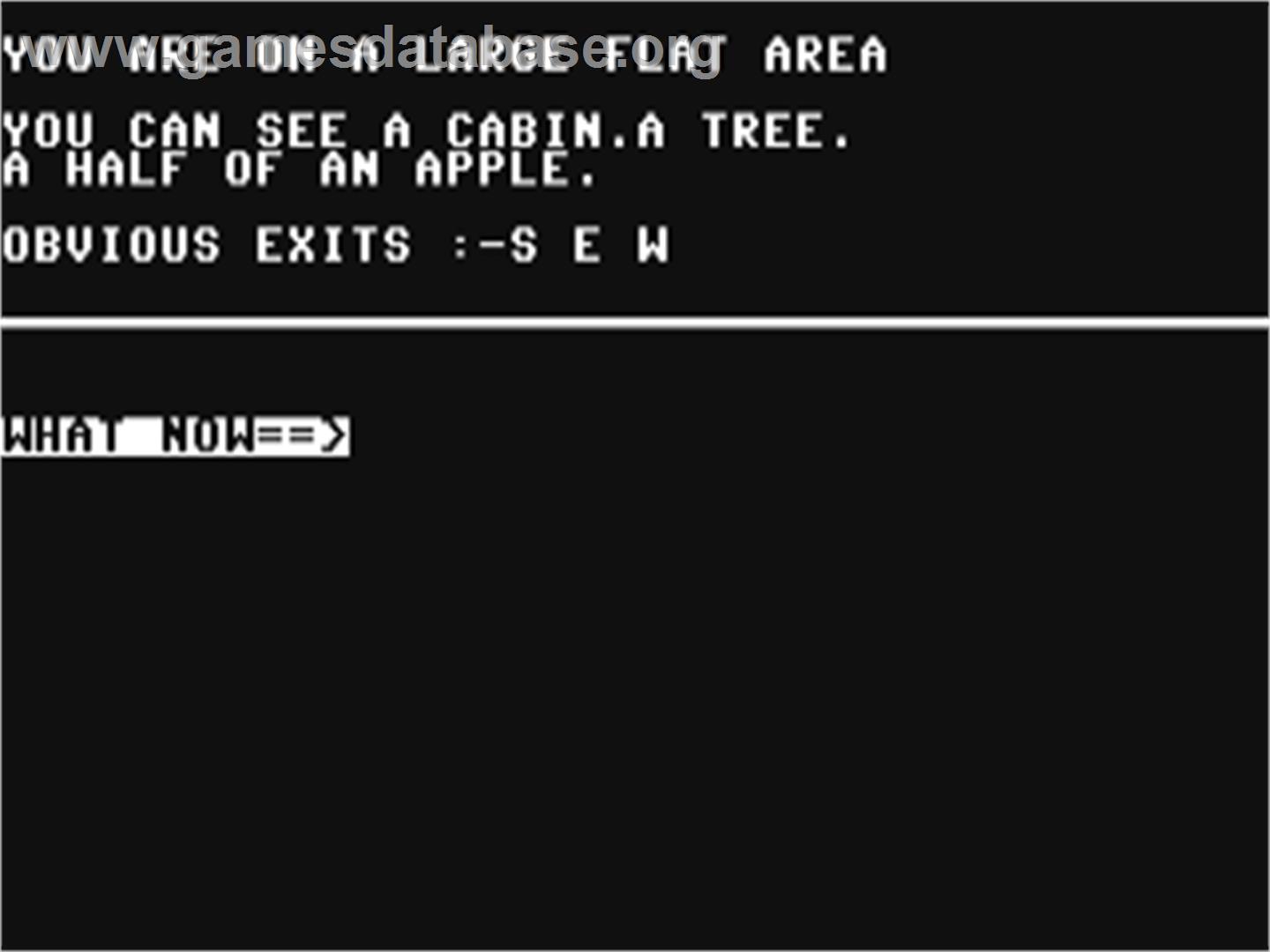 Opera House - Commodore 64 - Artwork - In Game