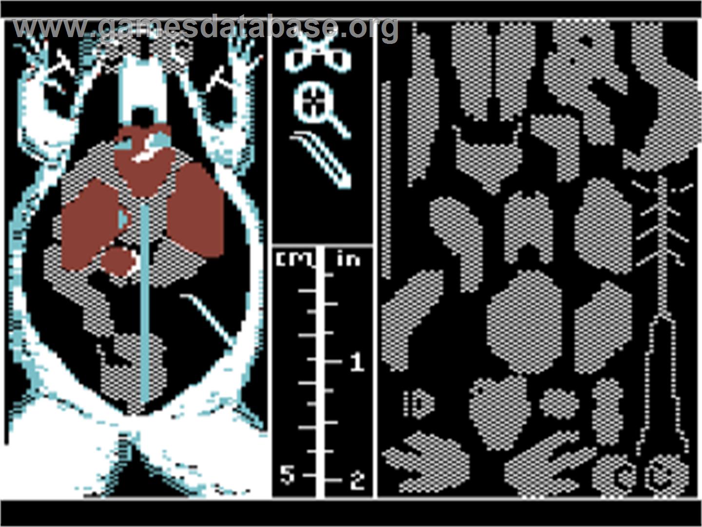 Operation - Frog - Commodore 64 - Artwork - In Game