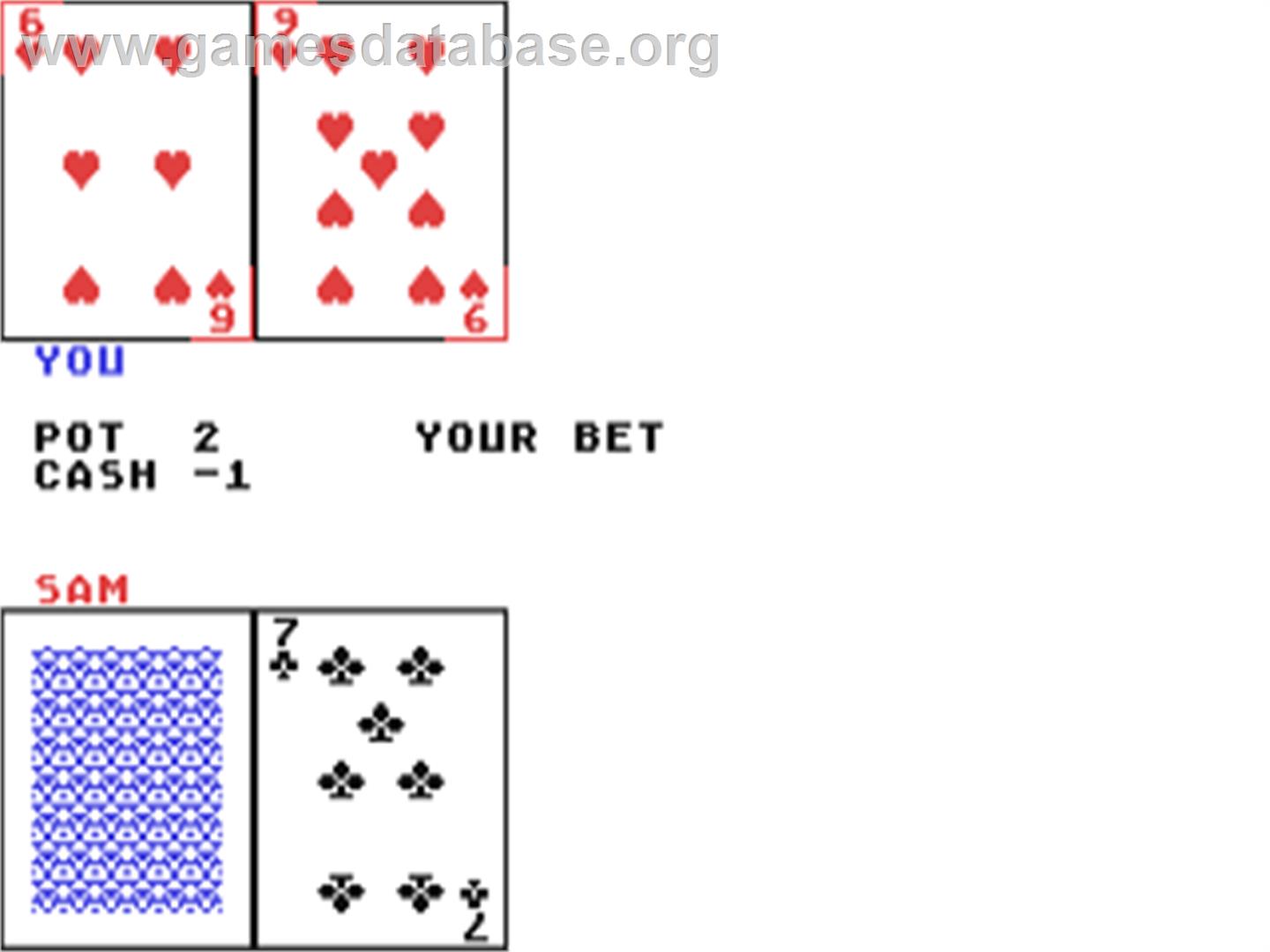 Pokersam - Commodore 64 - Artwork - In Game