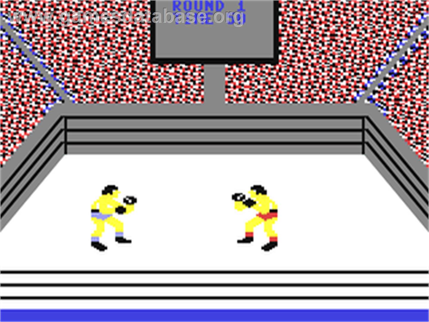 Pro Boxing - Commodore 64 - Artwork - In Game