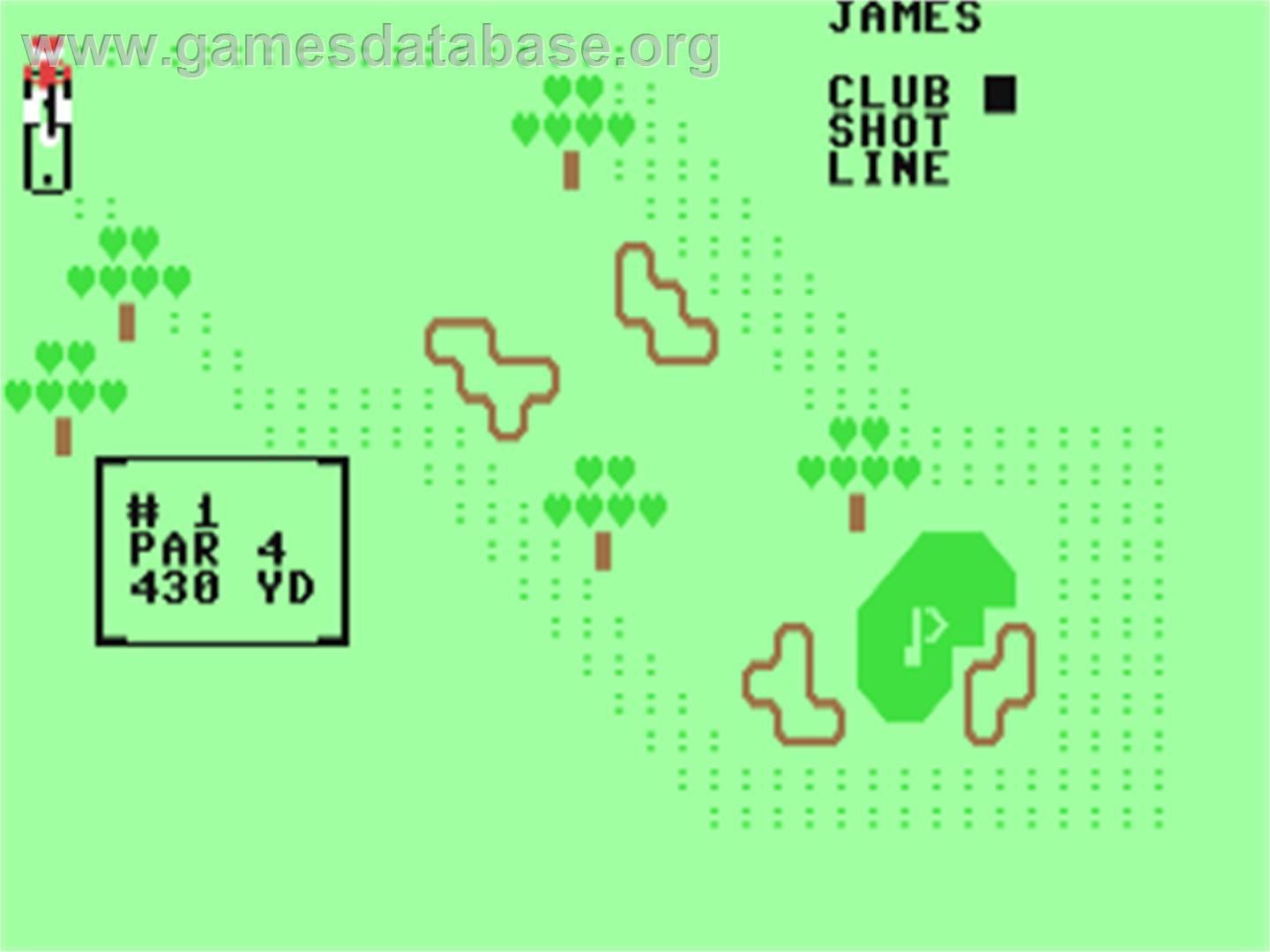 Pro Golf / Progolf (Atlantis) - Commodore 64 - Artwork - In Game