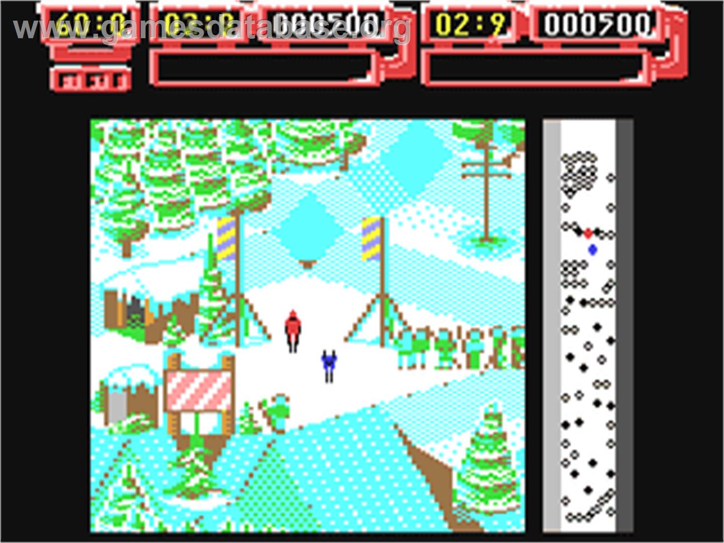 Professional Ski Simulator - Commodore 64 - Artwork - In Game