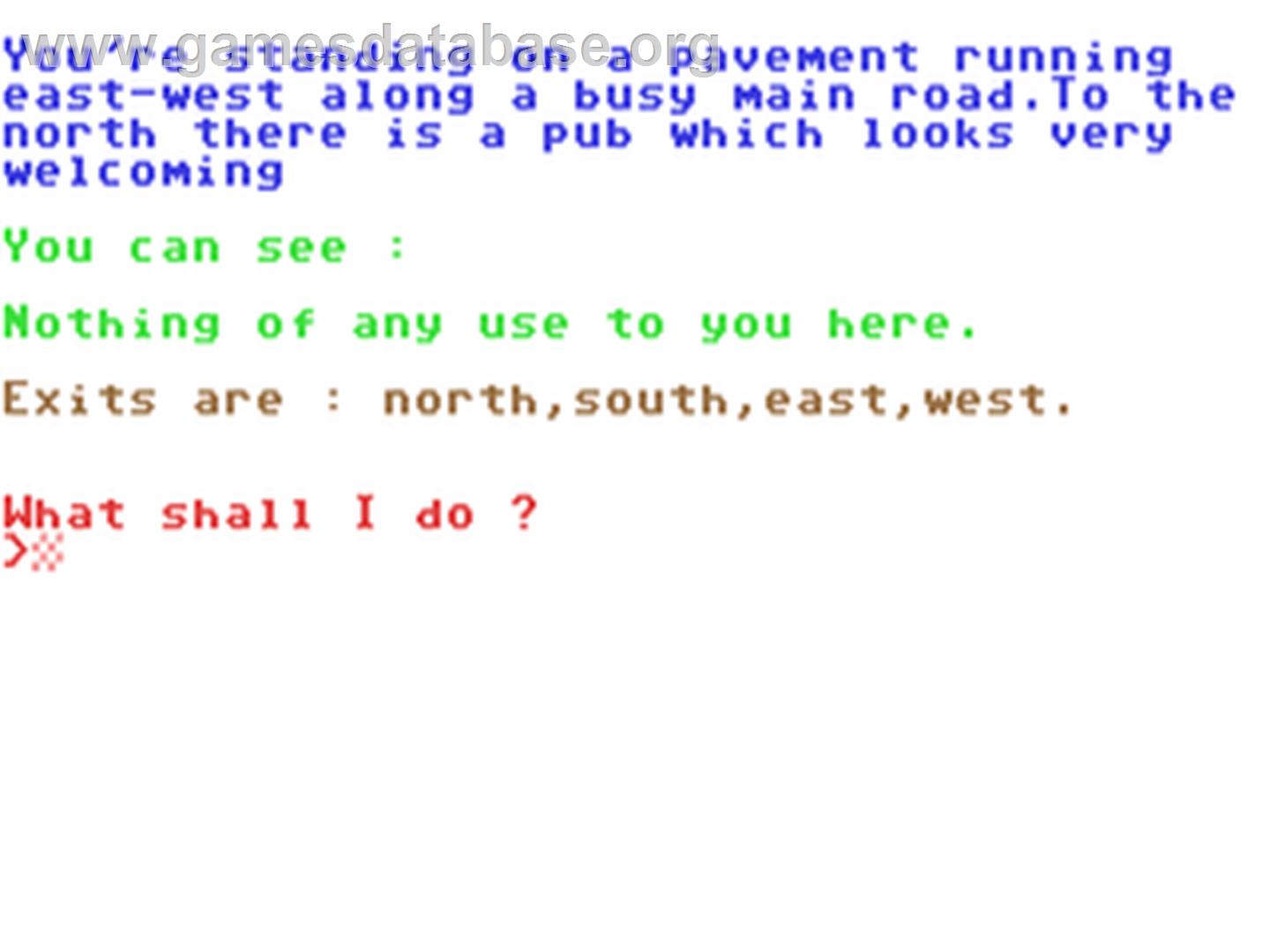 Pub Quest - Commodore 64 - Artwork - In Game