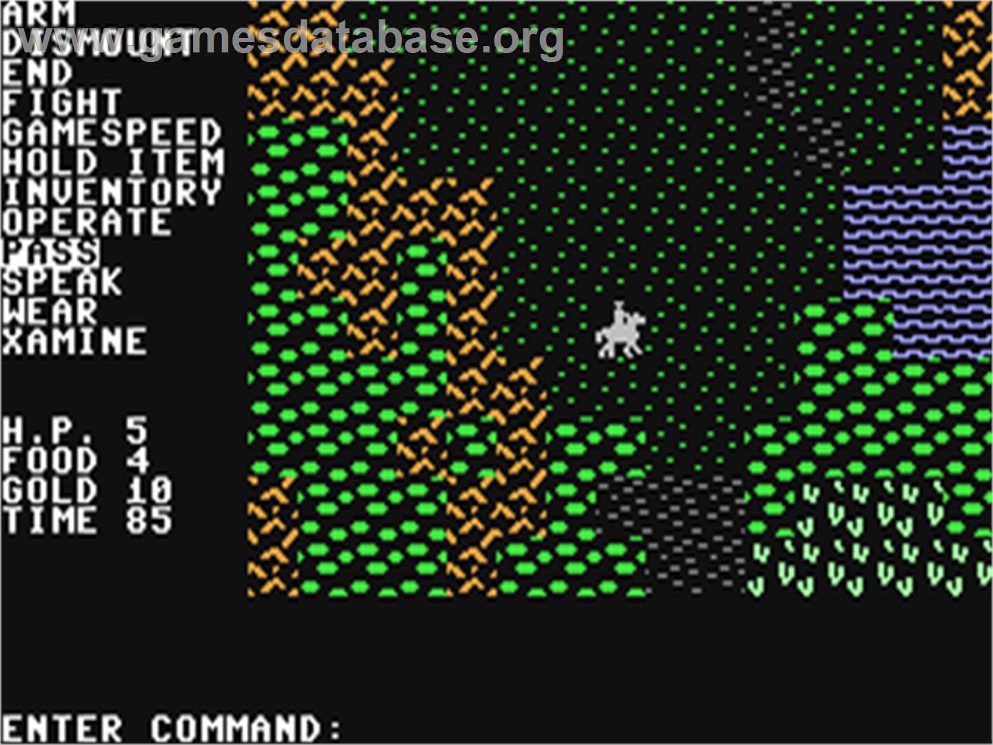 Questron - Commodore 64 - Artwork - In Game