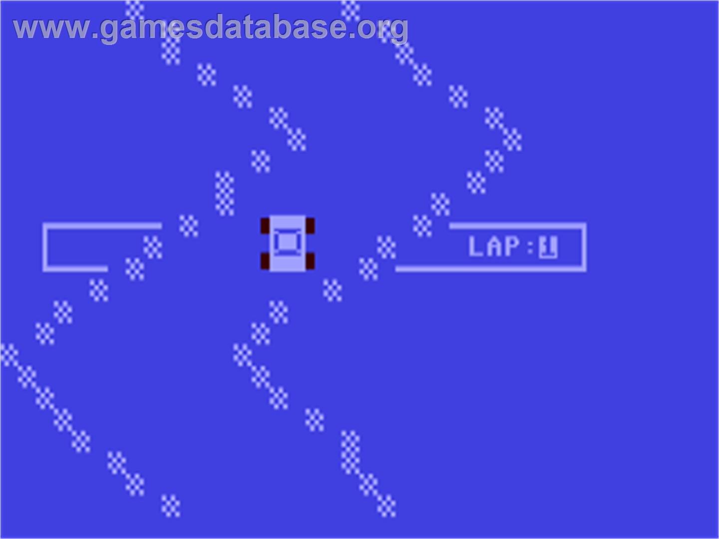 Race - Commodore 64 - Artwork - In Game