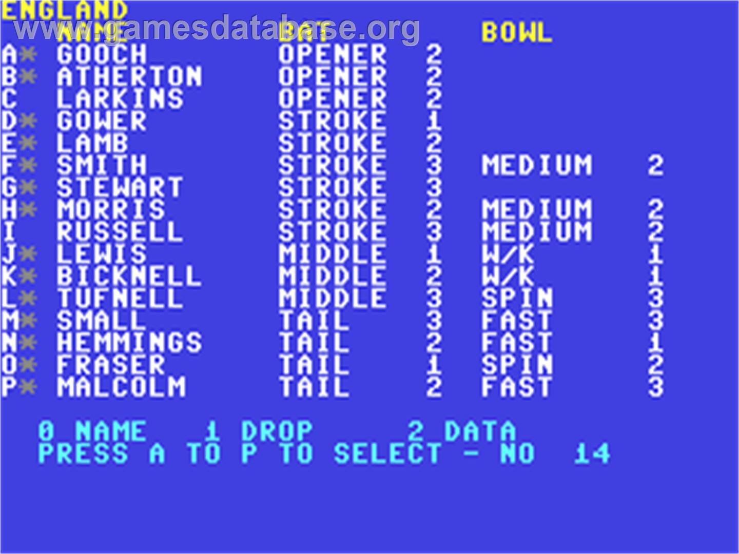 Robin Smith's International Cricket - Commodore 64 - Artwork - In Game
