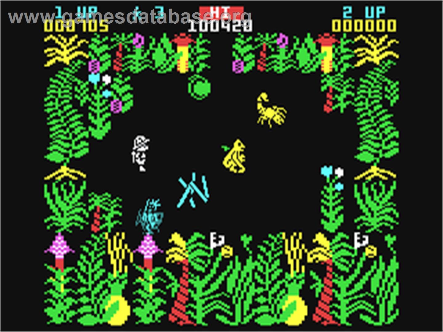 Sabre Wulf - Commodore 64 - Artwork - In Game