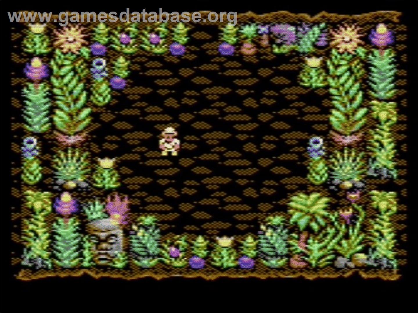 Sabre Wulf - Commodore 64 - Artwork - In Game
