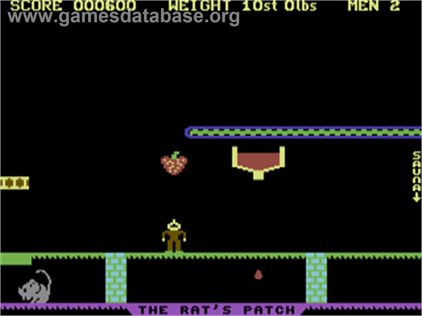 Sam's Jam - Commodore 64 - Artwork - In Game