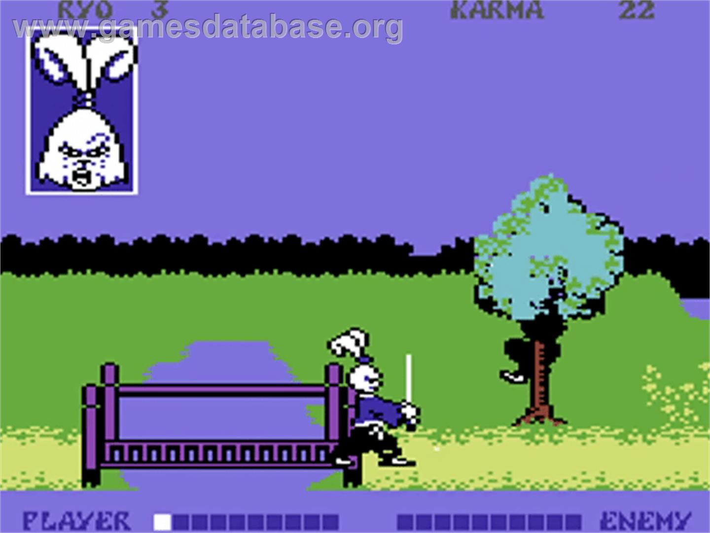 Samurai Warrior: The Battles of Usagi Yojimbo - Commodore 64 - Artwork - In Game