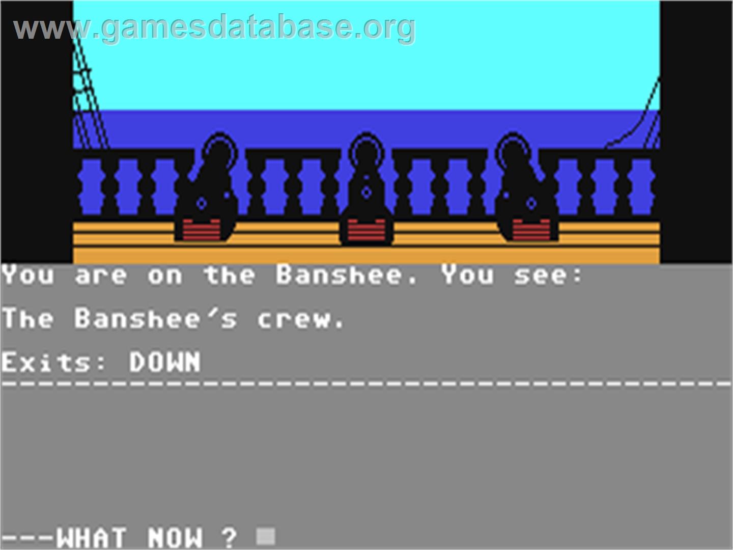 Seas of Blood (Adventure International) - Commodore 64 - Artwork - In Game