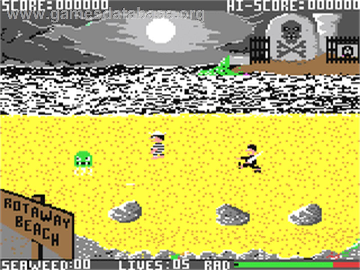 Seaside Special - Commodore 64 - Artwork - In Game
