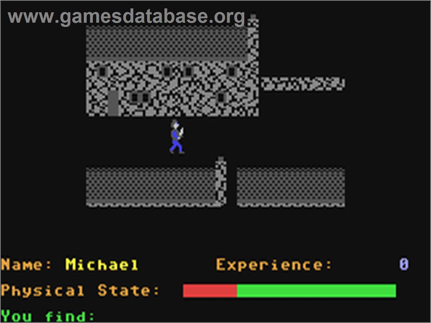 Shades - Commodore 64 - Artwork - In Game