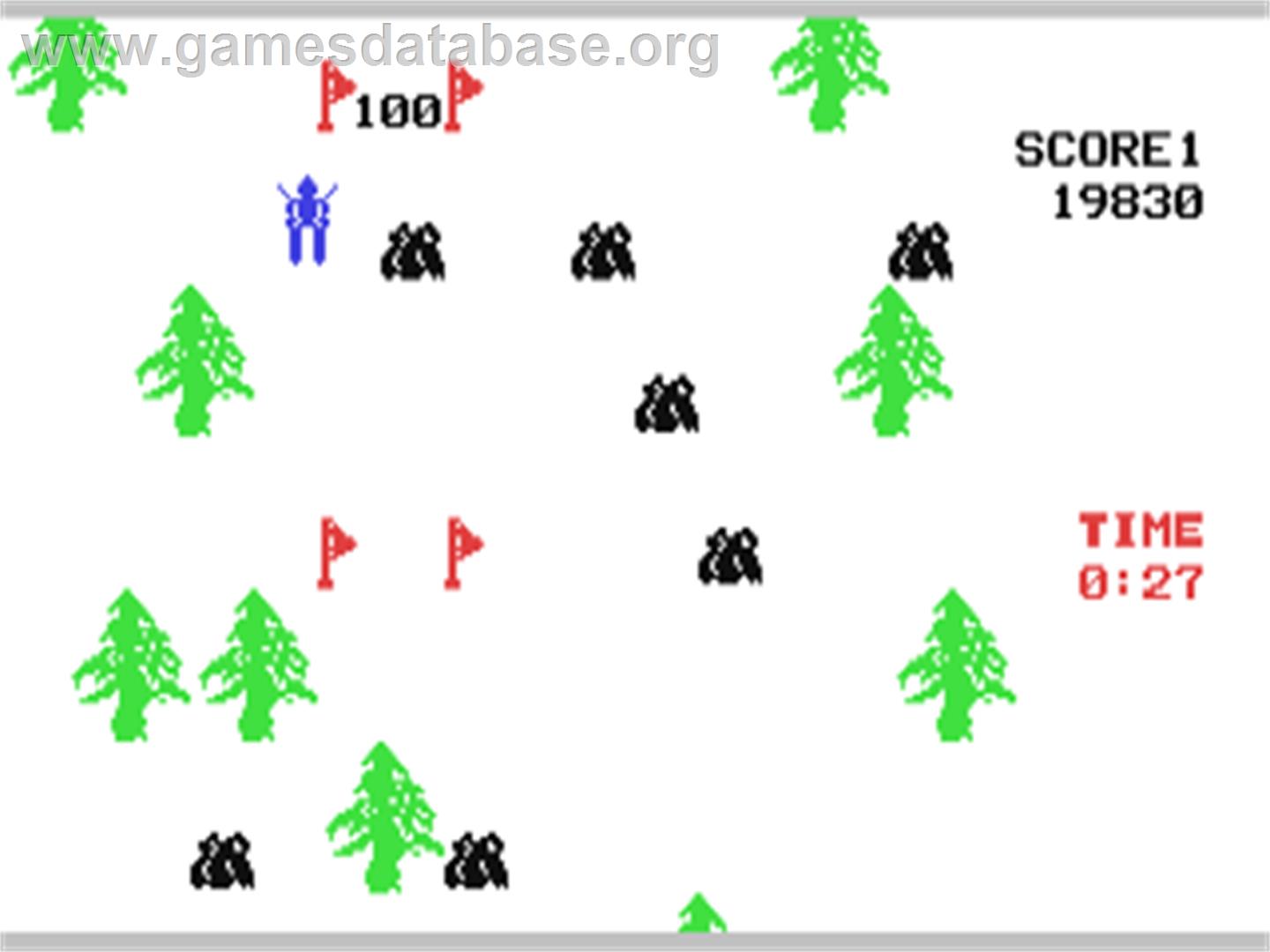 Ski - Commodore 64 - Artwork - In Game