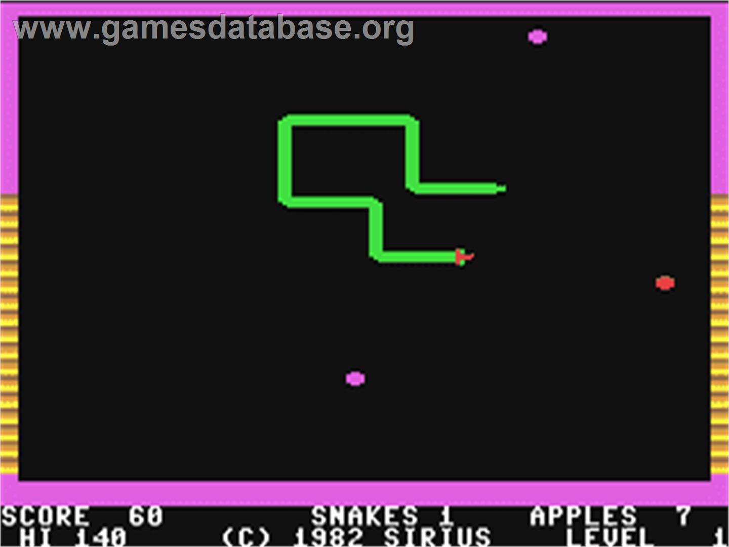 Snake Byte - Commodore 64 - Artwork - In Game