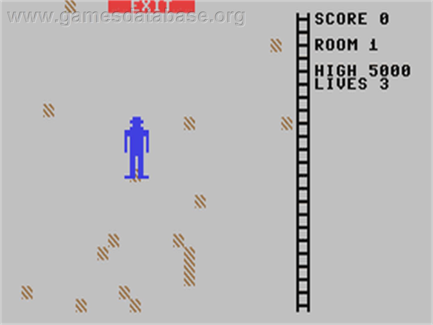 Space Ship - Commodore 64 - Artwork - In Game
