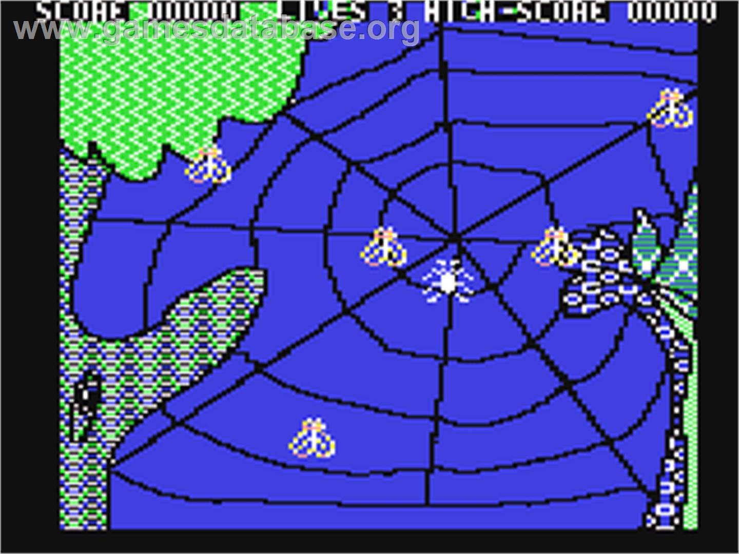Spider Web - Commodore 64 - Artwork - In Game