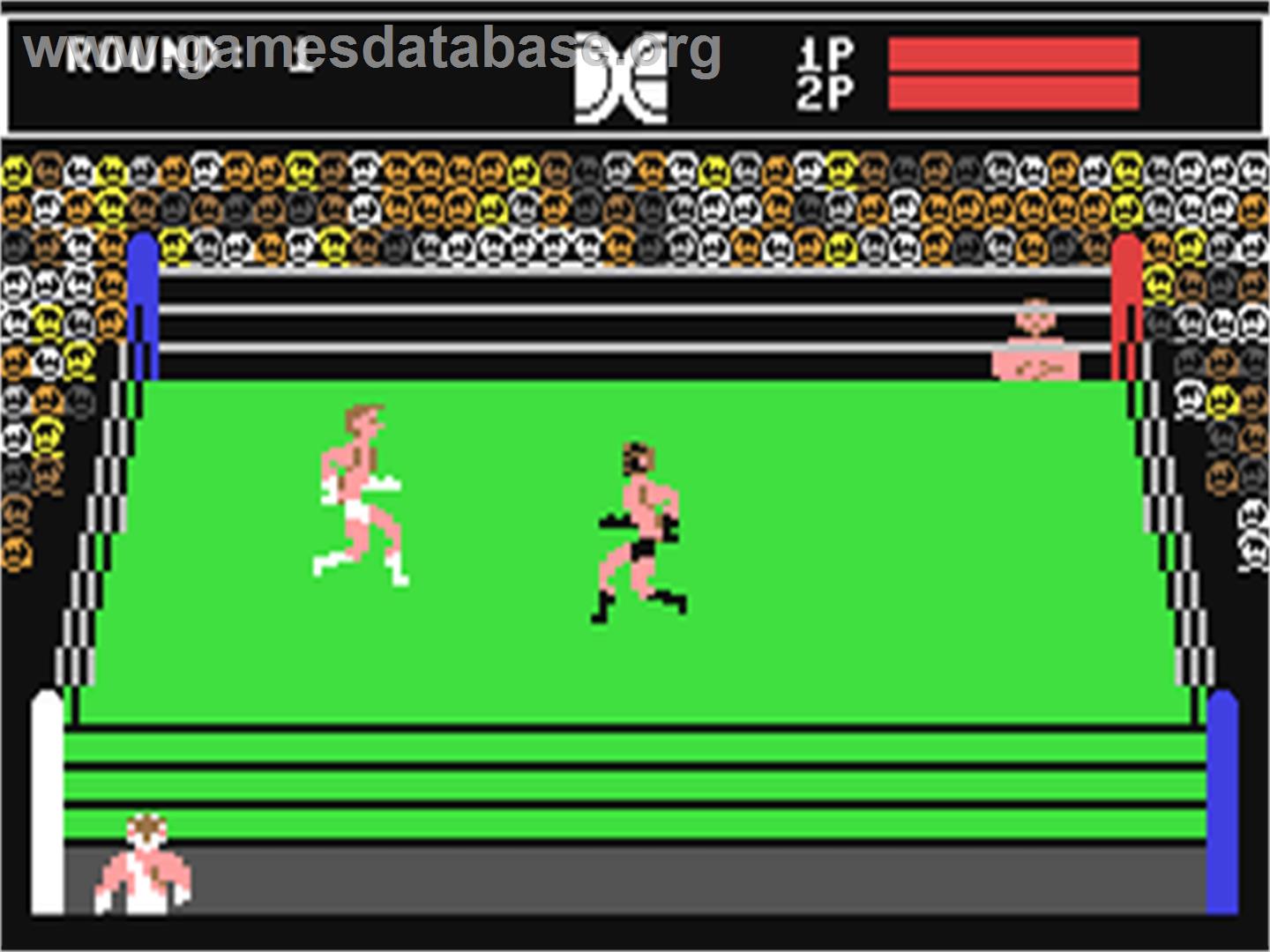 Tag Team Wrestling - Commodore 64 - Artwork - In Game