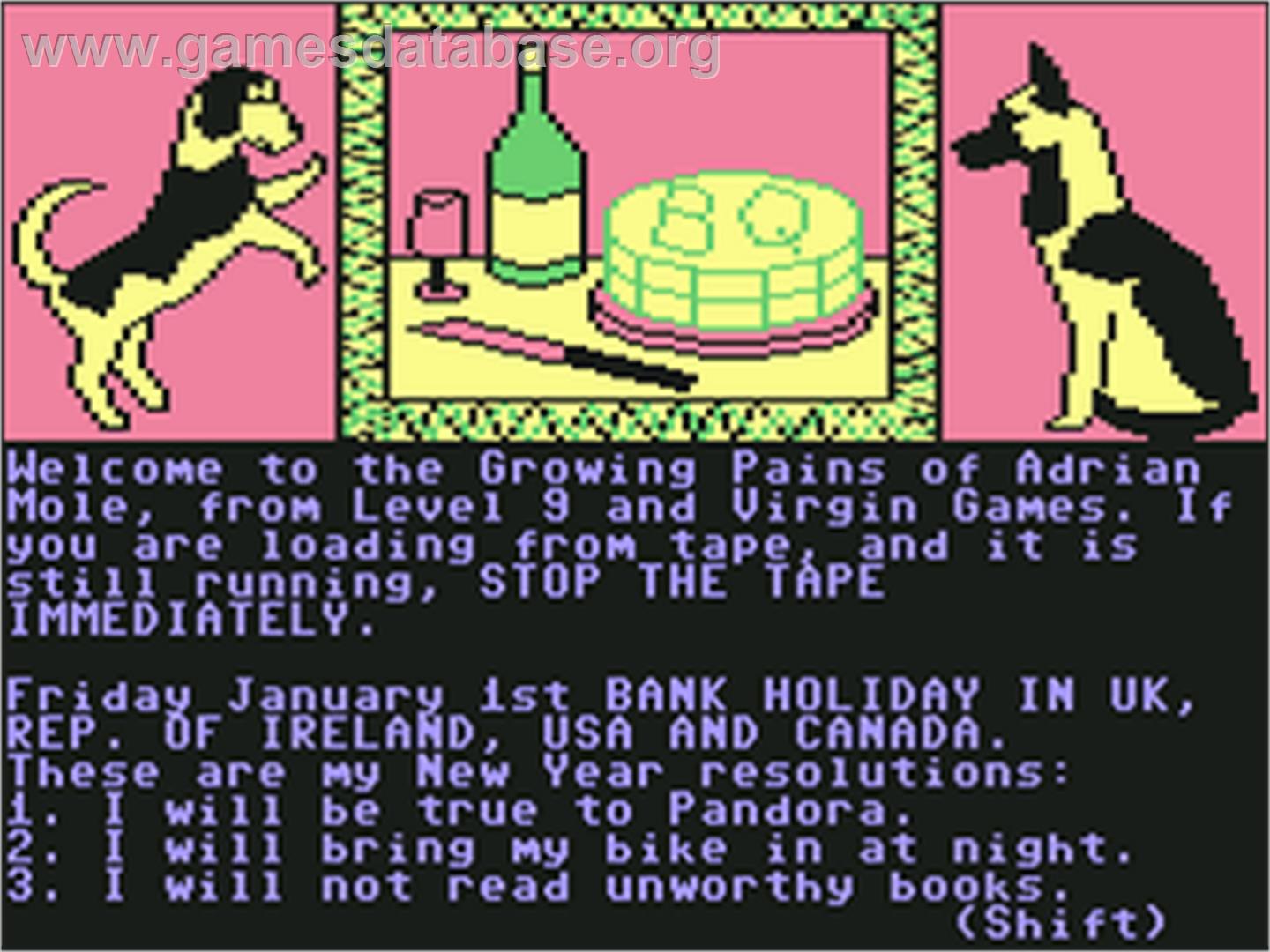 The Growing Pains of Adrian Mole - Commodore 64 - Artwork - In Game
