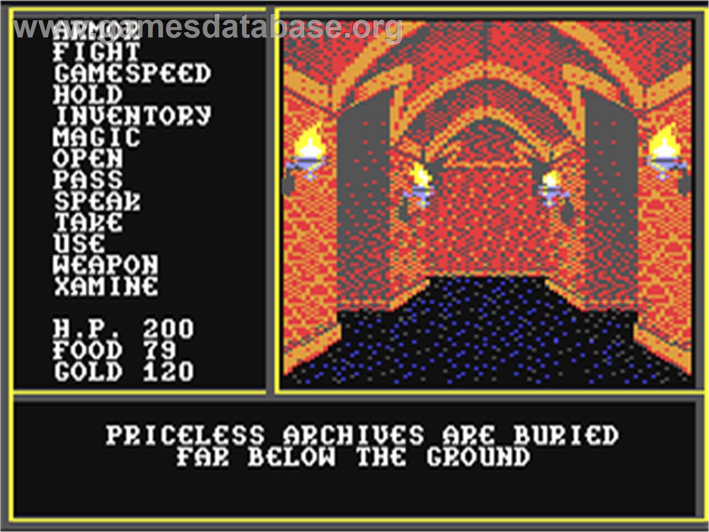 The Legend of Blacksilver - Commodore 64 - Artwork - In Game