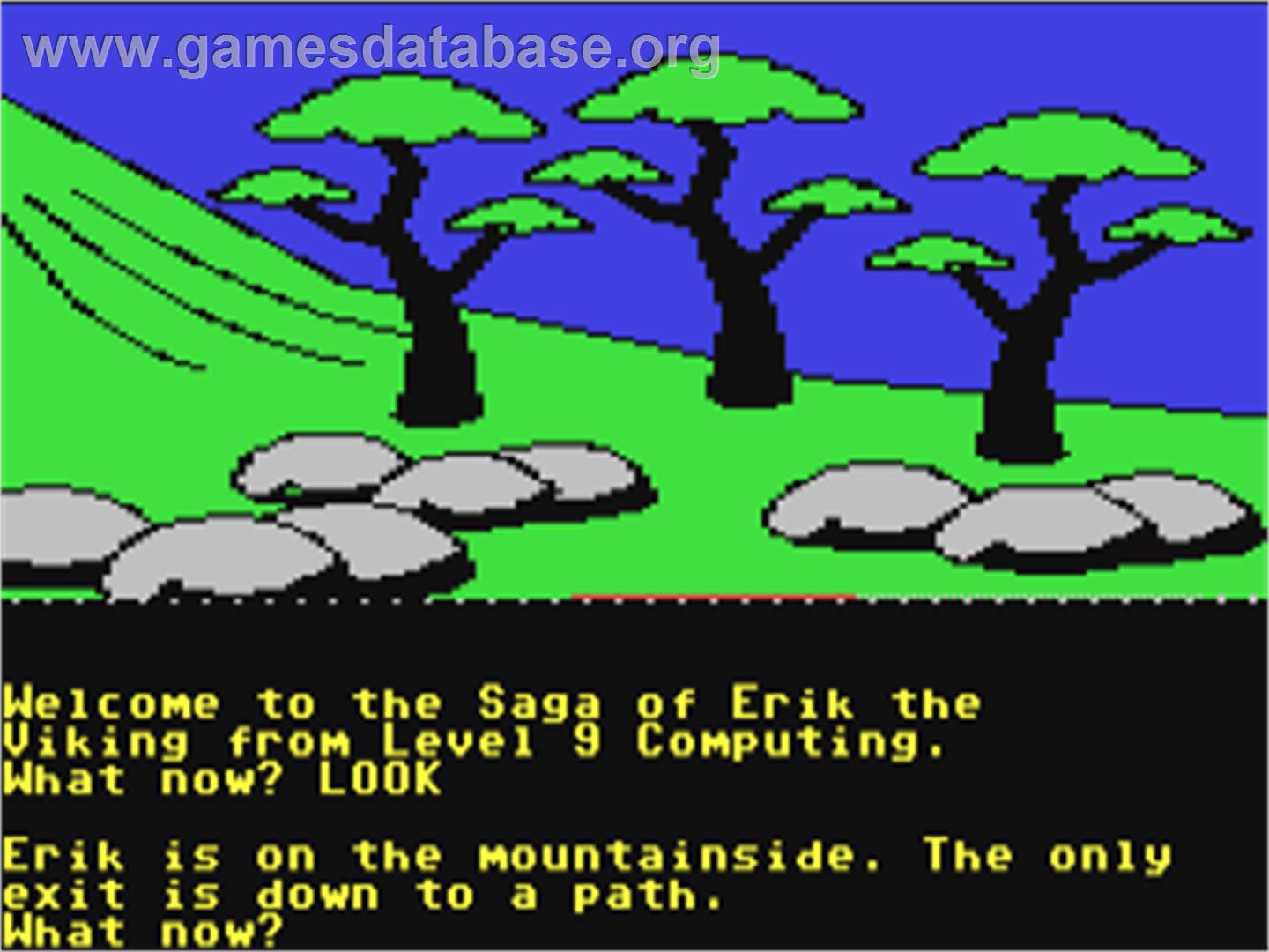 The Saga of Erik the Viking - Commodore 64 - Artwork - In Game