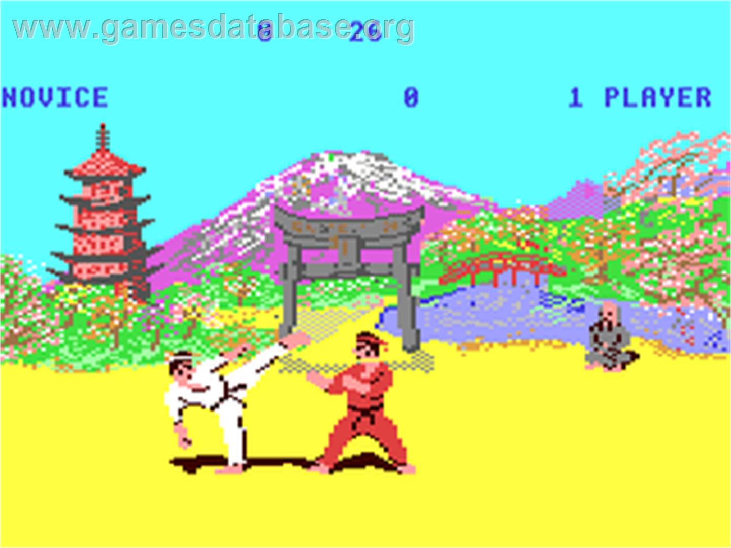 The Way of the Exploding Fist - Commodore 64 - Artwork - In Game