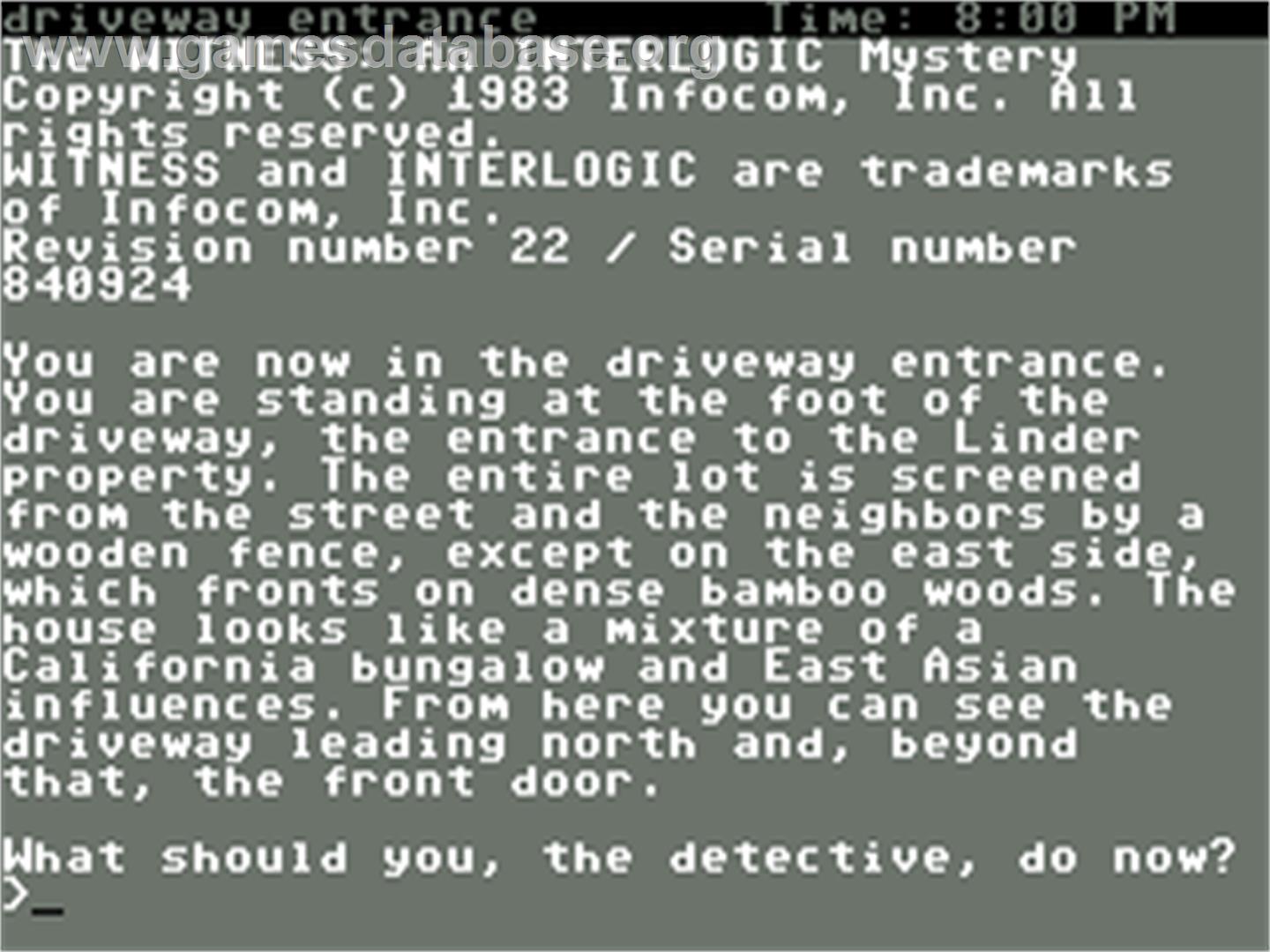 The Witness - Commodore 64 - Artwork - In Game