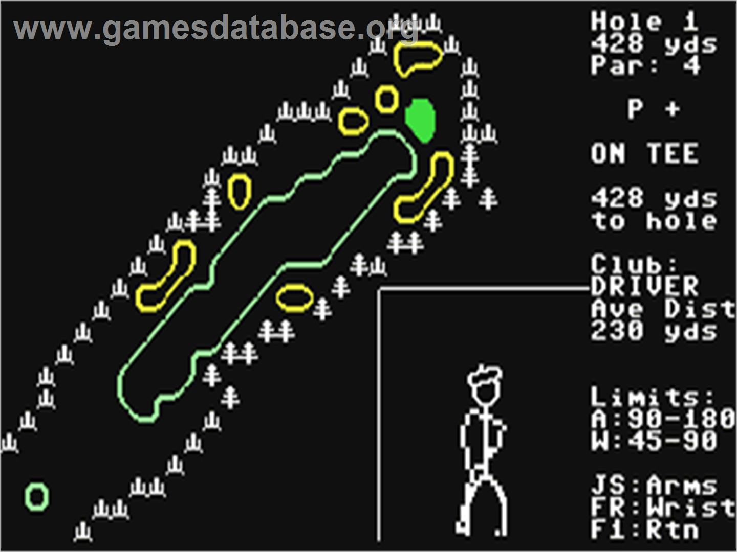 Tournament Golf - Commodore 64 - Artwork - In Game