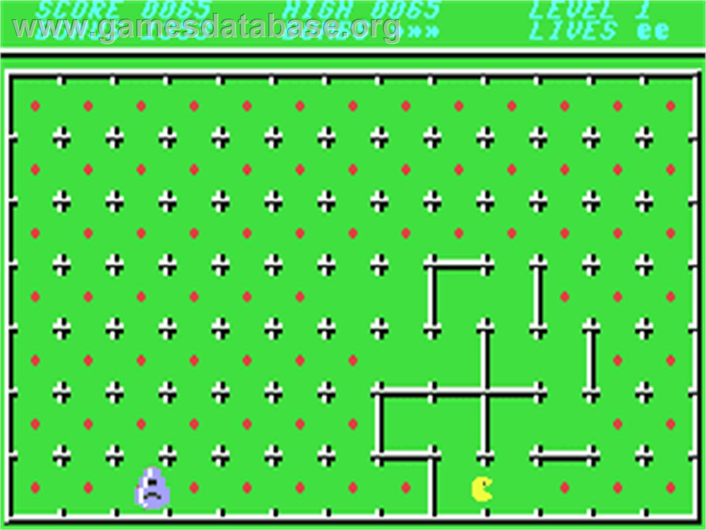 Tsi Maze Man - Commodore 64 - Artwork - In Game