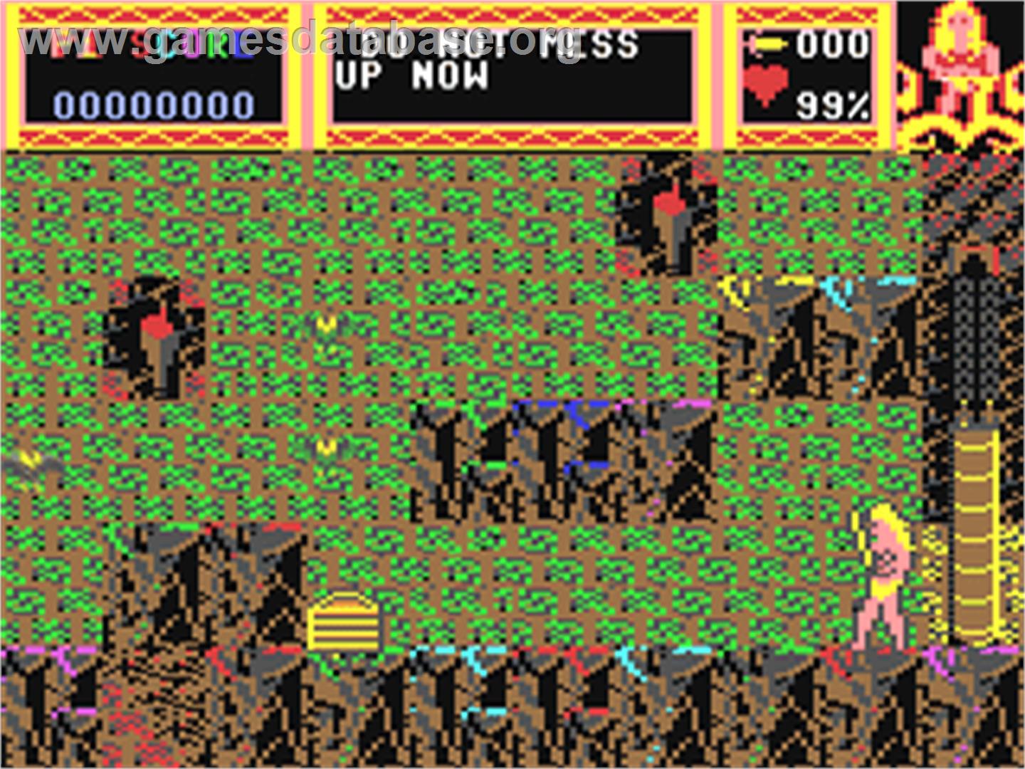 Tusari - Commodore 64 - Artwork - In Game