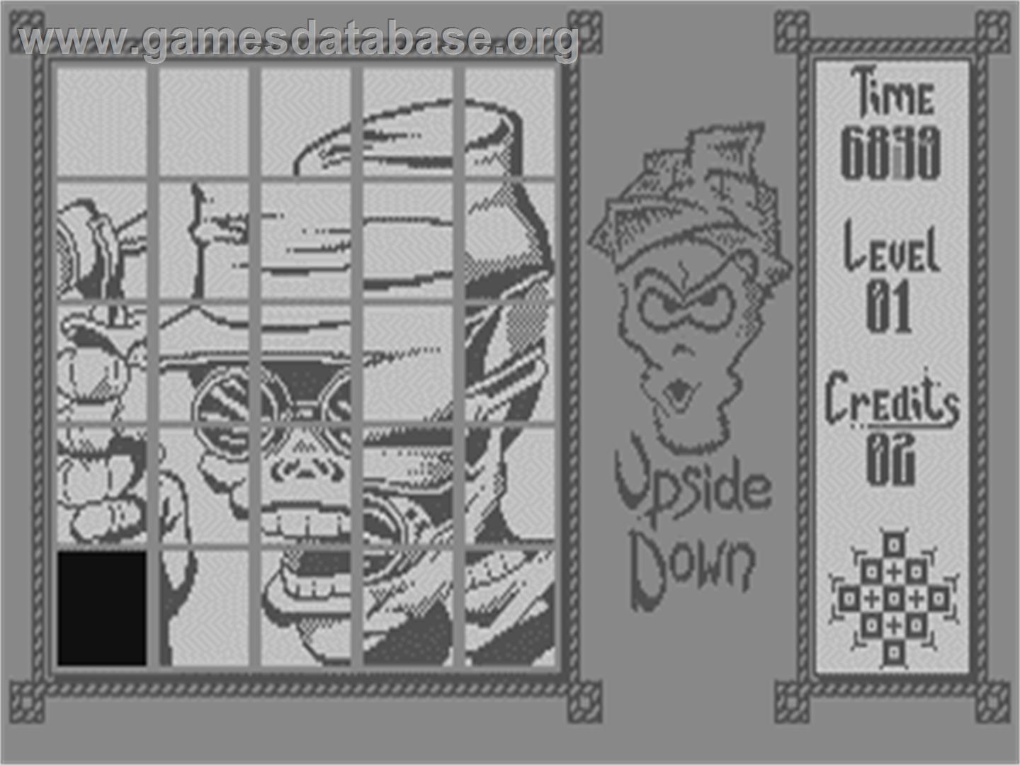 Upside Down - Commodore 64 - Artwork - In Game