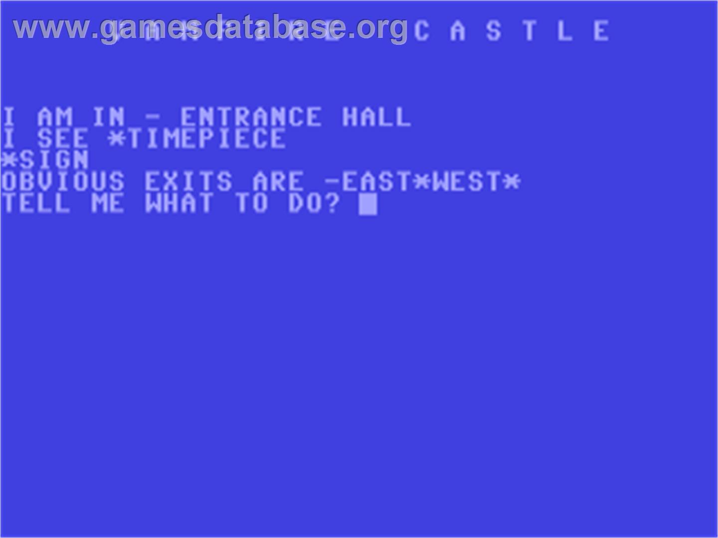 Vampire Castle - Commodore 64 - Artwork - In Game