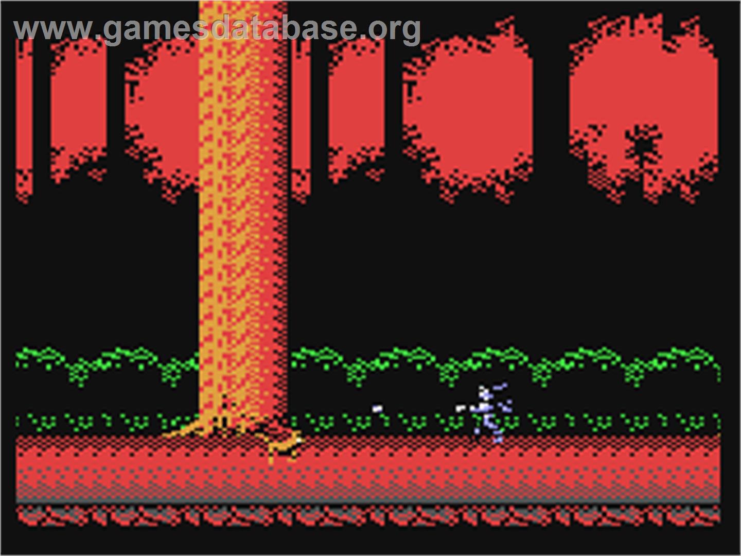 Vampire Hunter - Commodore 64 - Artwork - In Game