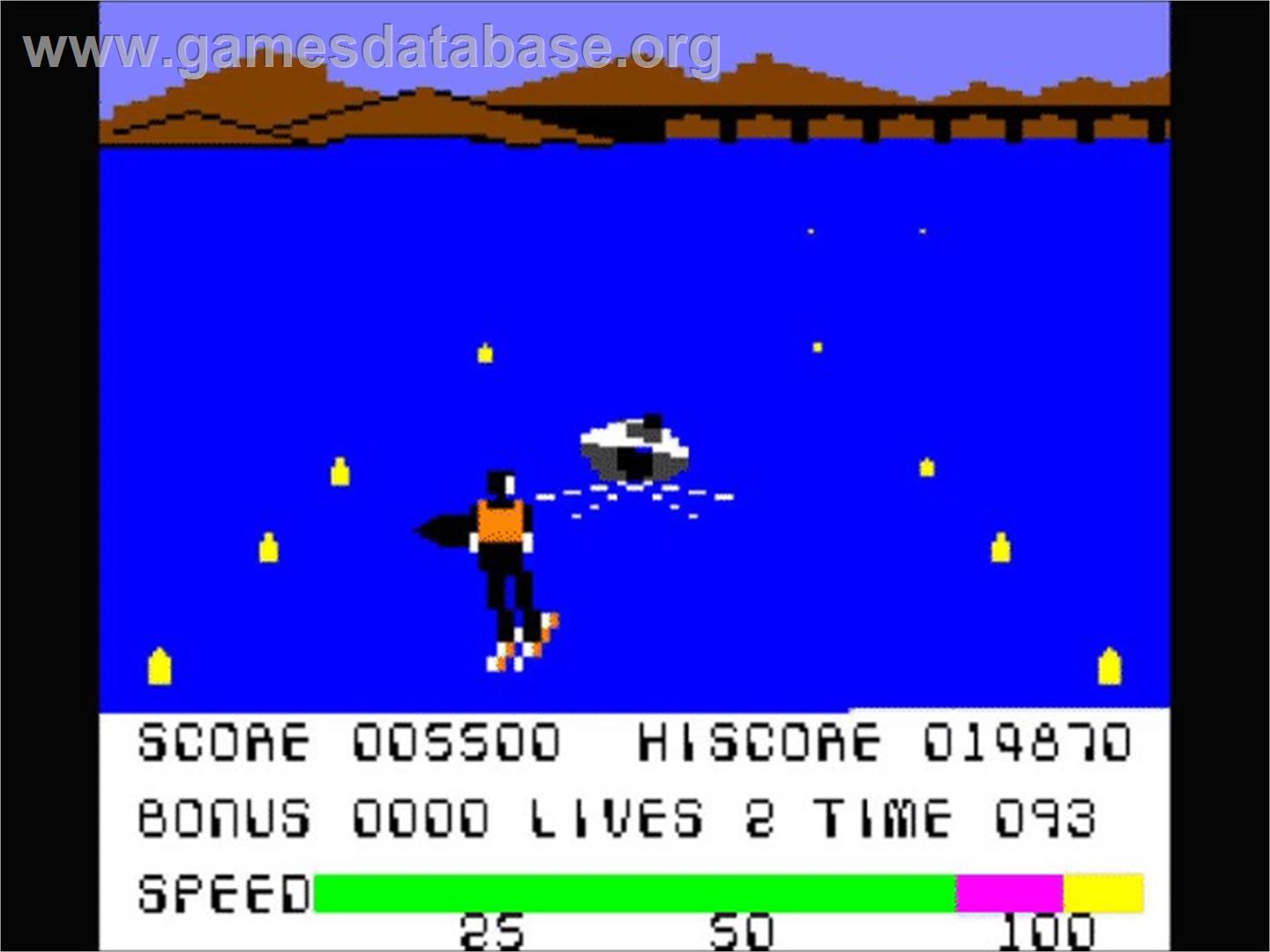 Waterski 3d - Commodore 64 - Artwork - In Game