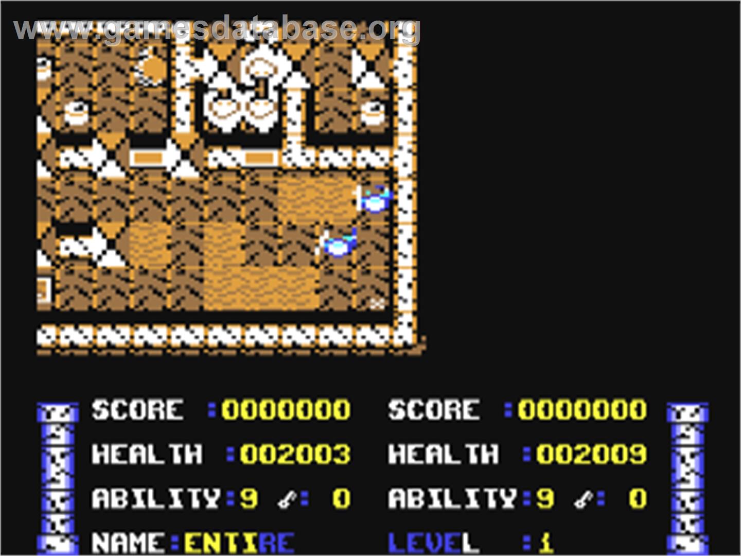 Wizerior - Commodore 64 - Artwork - In Game