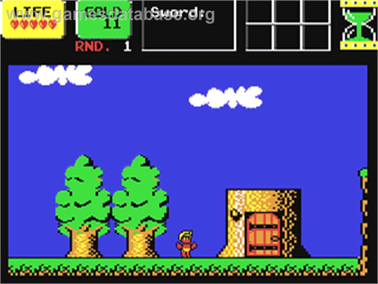 Wonder Boy in Monster Land - Commodore 64 - Artwork - In Game