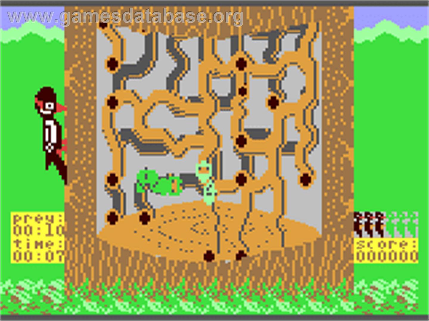 Woodpecker - Commodore 64 - Artwork - In Game