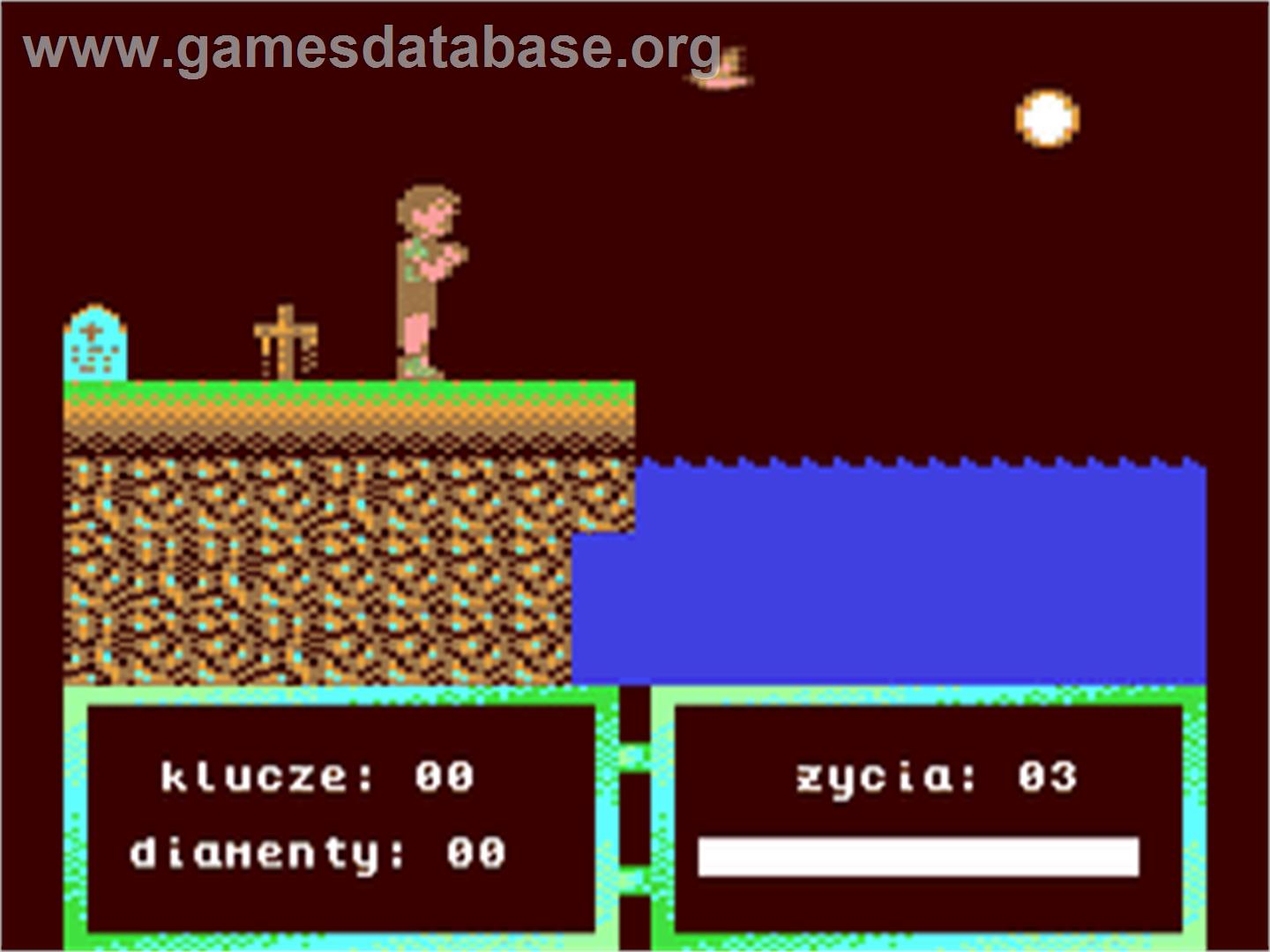 Zamczysko - Commodore 64 - Artwork - In Game