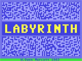Title screen of Labyrinth (Lloyd Bank) on the Commodore 64.