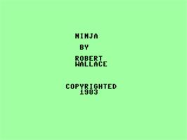 Title screen of Ninja (Softgold) on the Commodore 64.