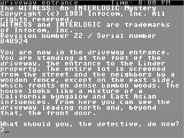 Title screen of The Witness on the Commodore 64.