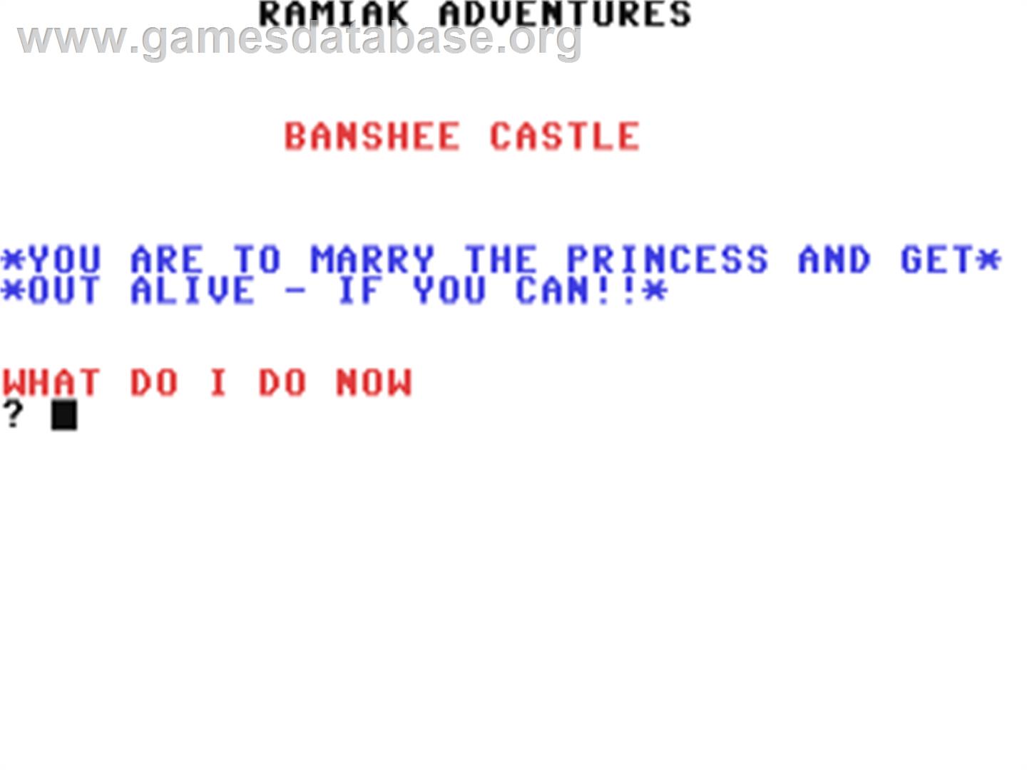 Banshee Castle - Commodore 64 - Artwork - Title Screen