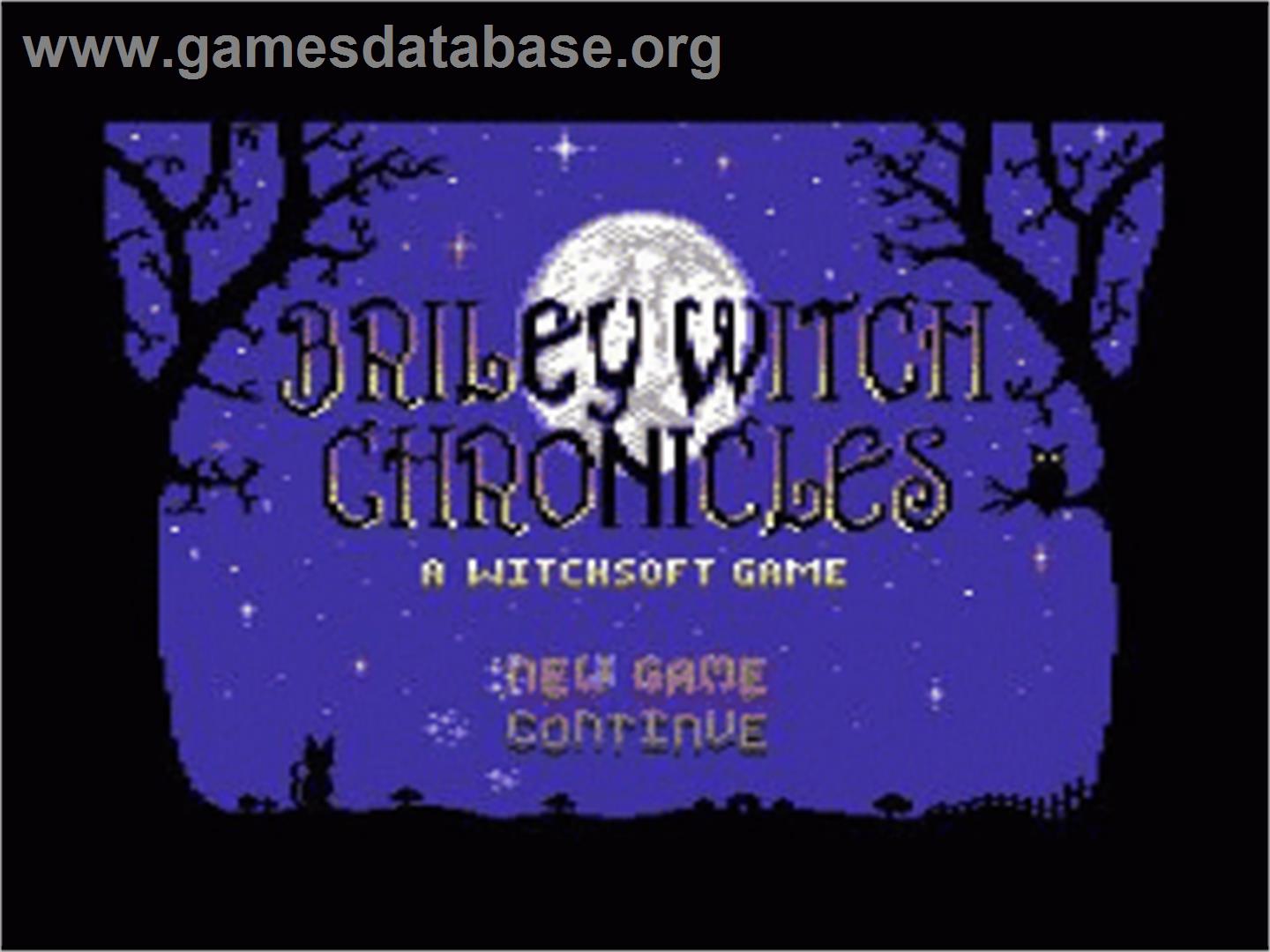 Briley Witch Chronicles - Commodore 64 - Artwork - Title Screen