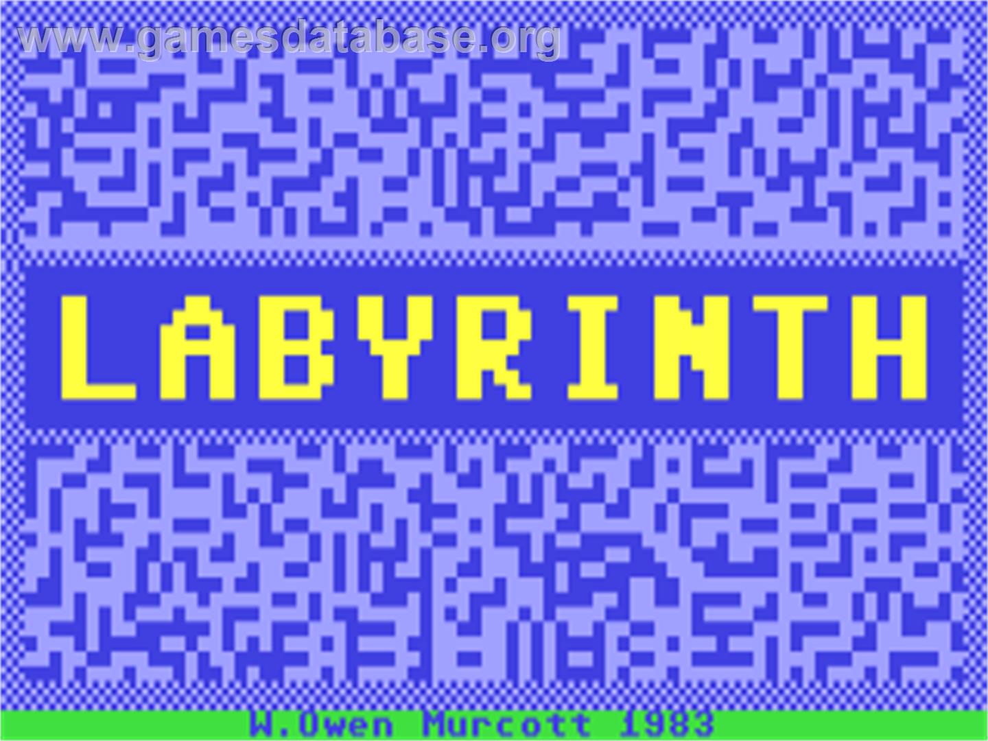 Labyrinth (Magic Soft) - Commodore 64 - Artwork - Title Screen
