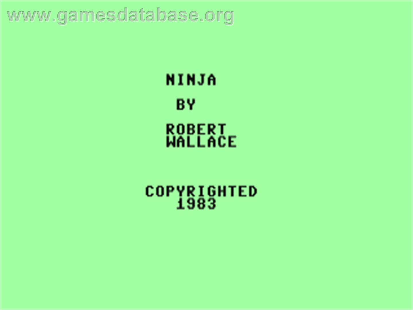 Ninja (Softgold) - Commodore 64 - Artwork - Title Screen