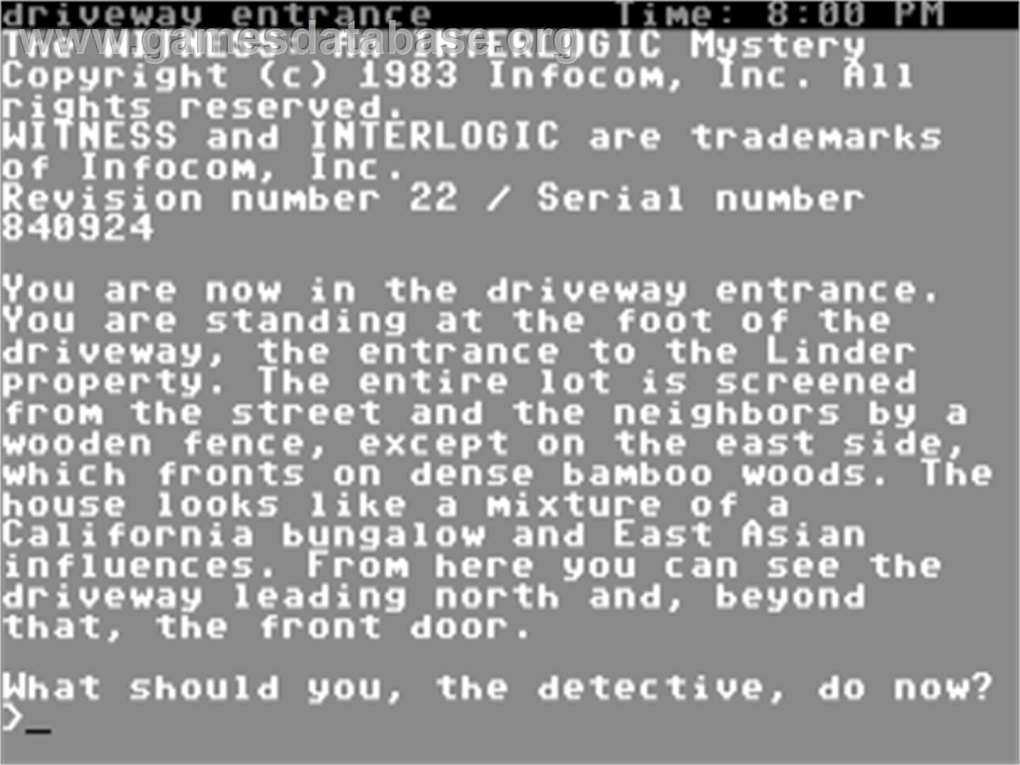 The Witness - Commodore 64 - Artwork - Title Screen