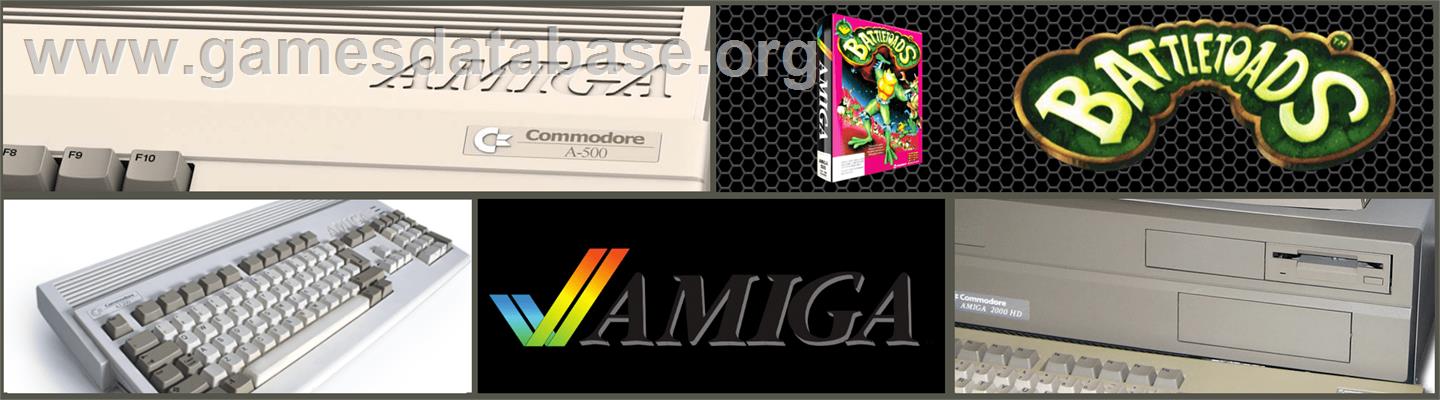 Battletoads - Commodore Amiga - Artwork - Marquee