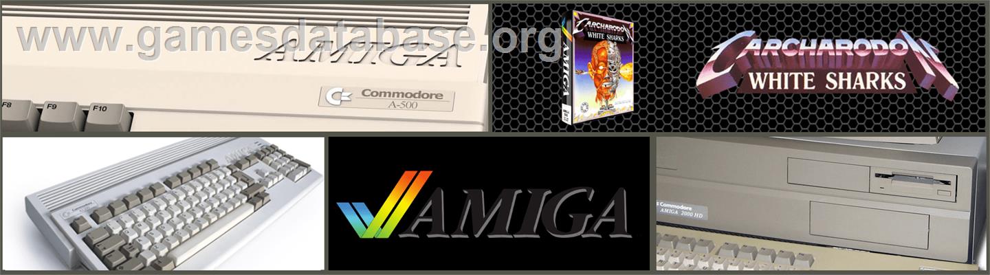 Carcharodon: White Sharks - Commodore Amiga - Artwork - Marquee