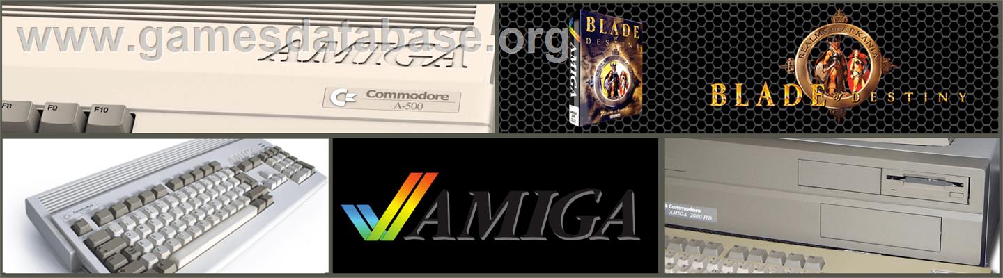Realms of Arkania: Blade of Destiny - Commodore Amiga - Artwork - Marquee