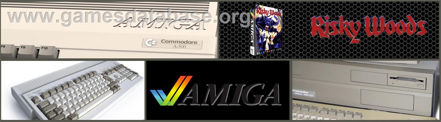 Risky Woods - Commodore Amiga - Artwork - Marquee